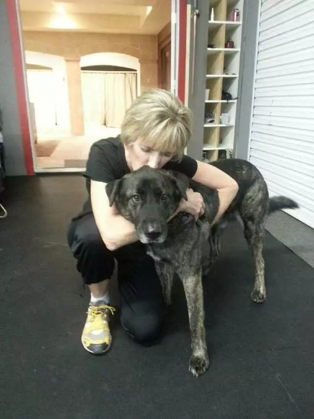 Austin Animal Sitters