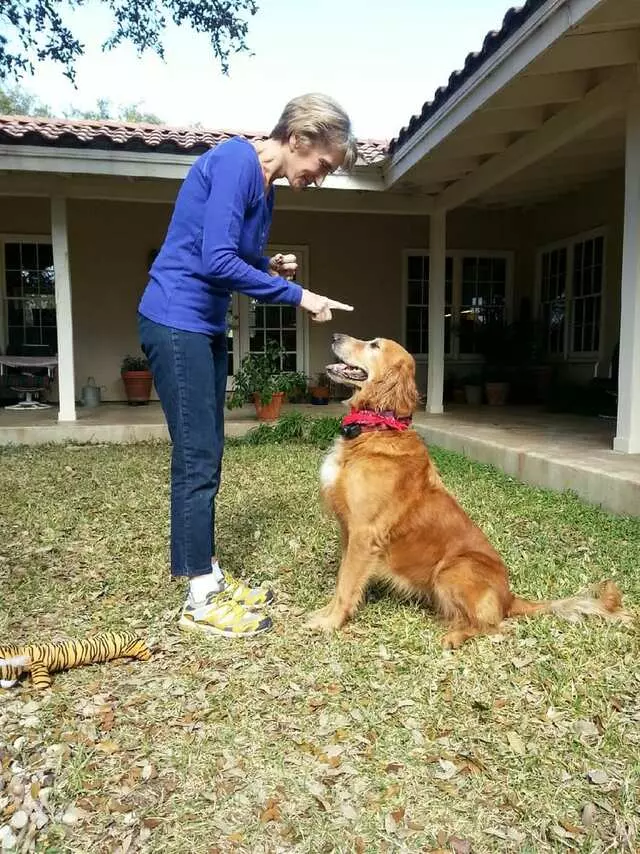 Austin Animal Sitters
