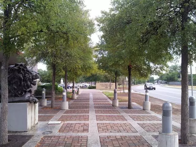 Austin Public Library - Windsor Park