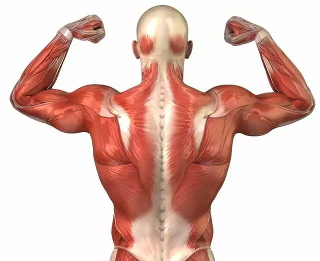 Austin Physical Therapy Specialists