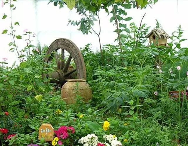 Acupoints & Herbs