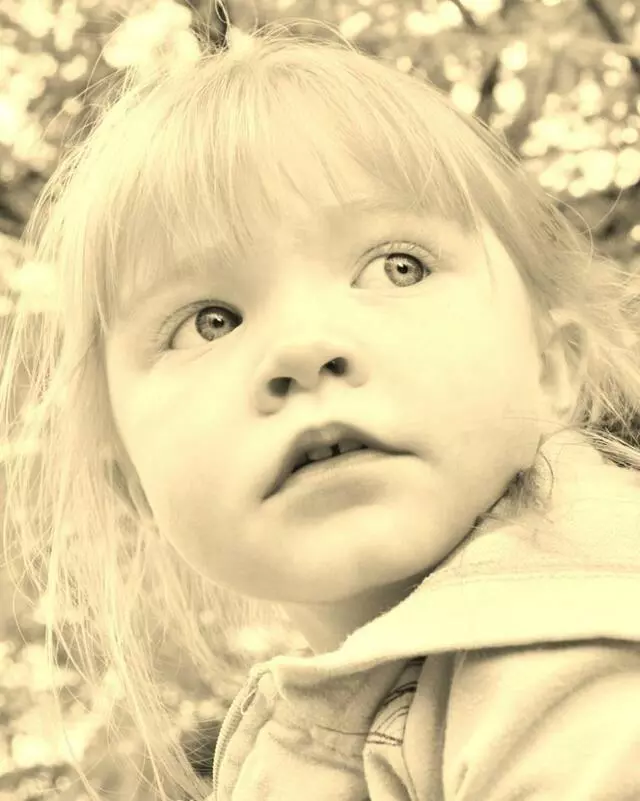 All In Photography