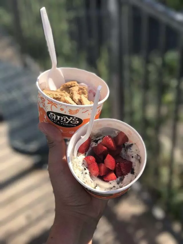 Amy’s Ice Creams
