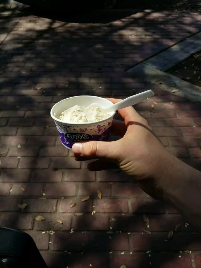 Amy’s Ice Creams