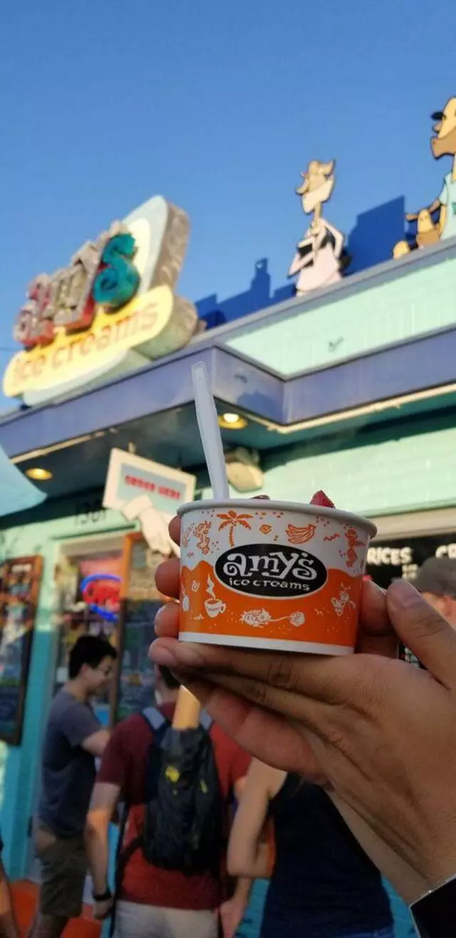 Amy’s Ice Creams