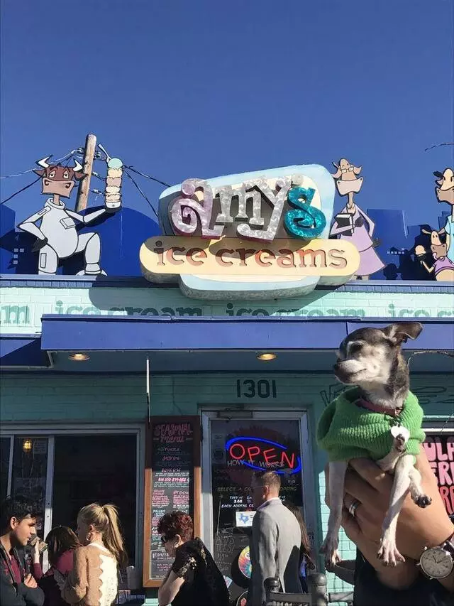 Amy’s Ice Creams