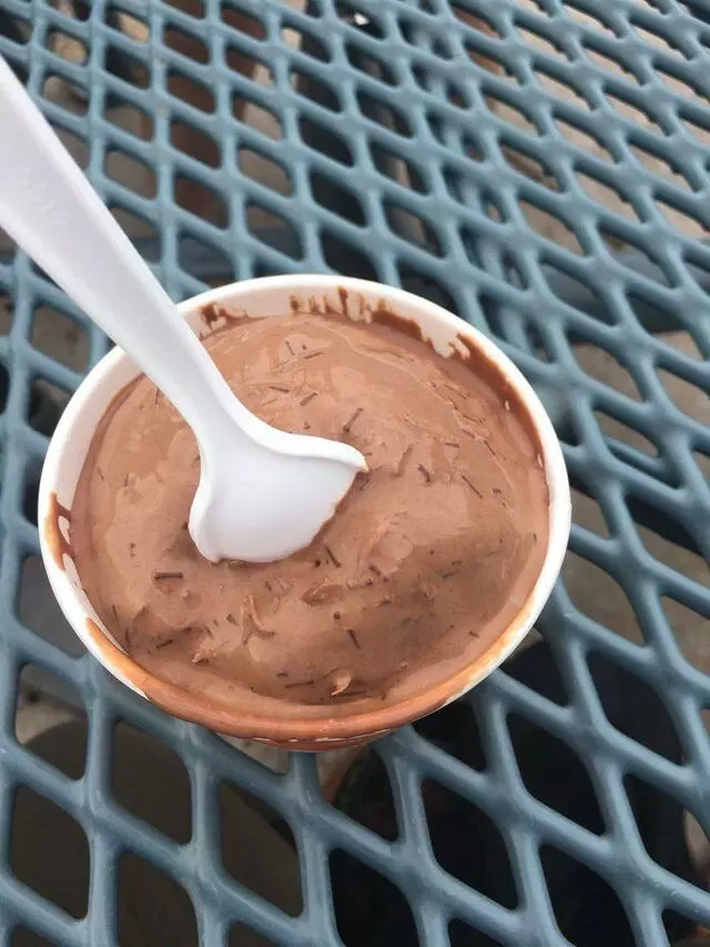 Amy’s Ice Creams