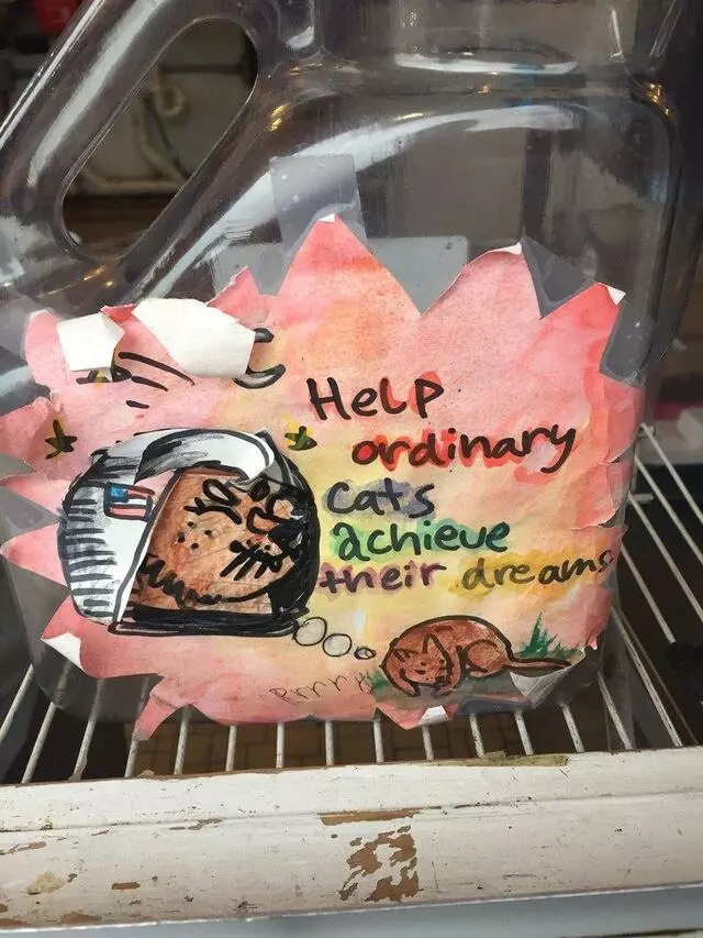 Amy’s Ice Creams