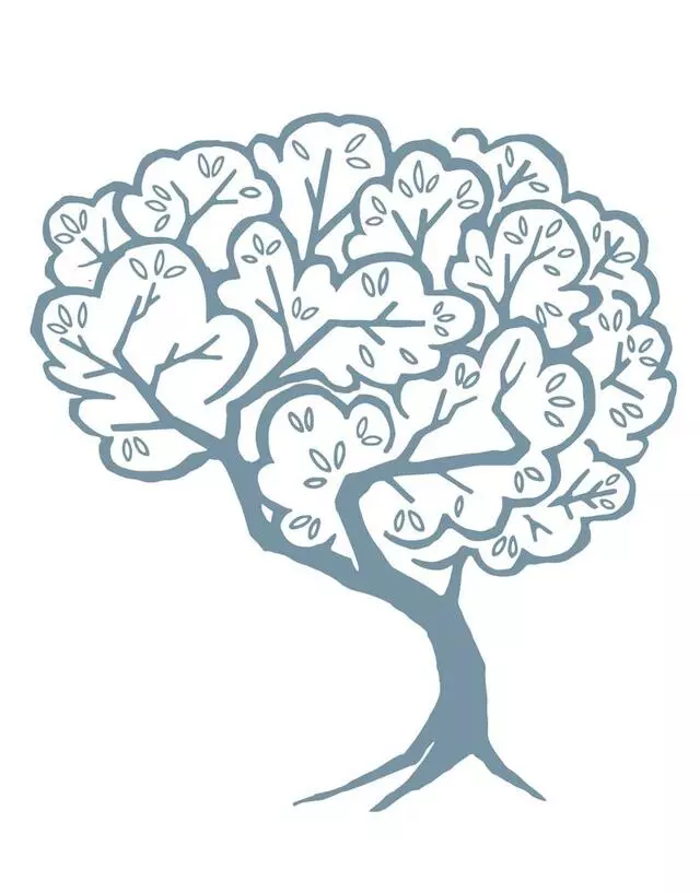 Daniel Hochman, MD, PLLC