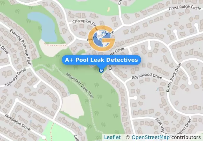 A+ Pool Leak Detectives