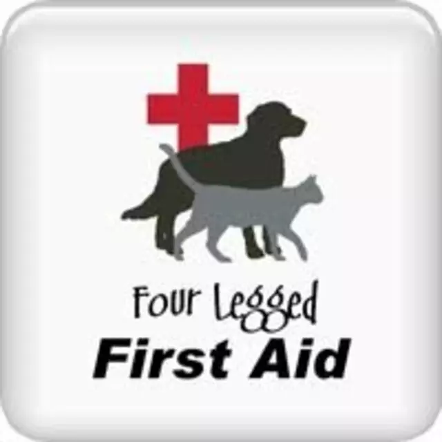 Austin’s Howlin’ Hounds Pet Services