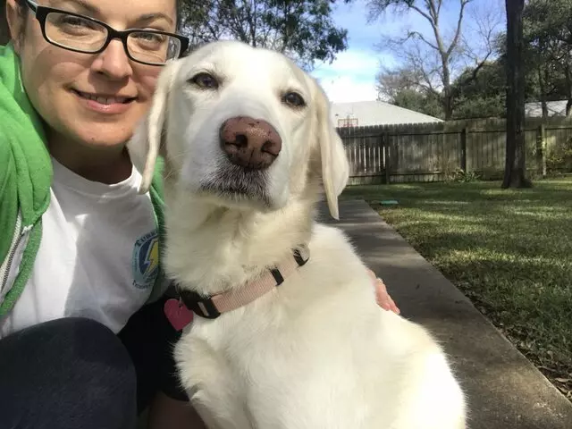 Austin’s Howlin’ Hounds Pet Services