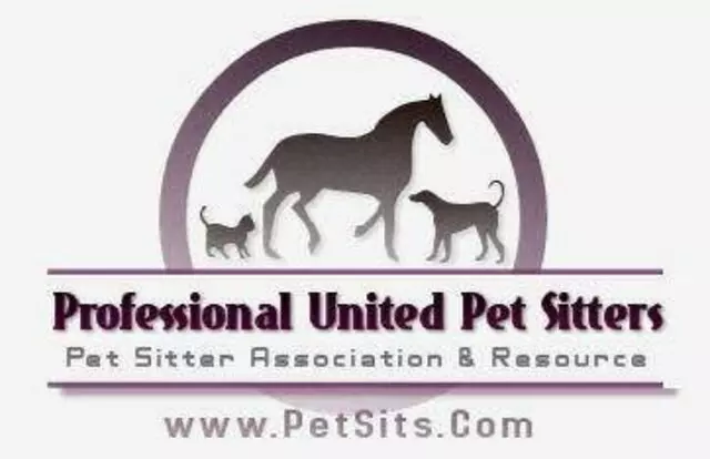 Austin’s Howlin’ Hounds Pet Services