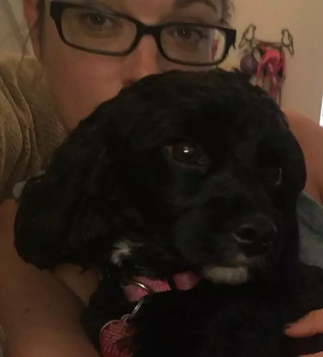 Austin’s Howlin’ Hounds Pet Services