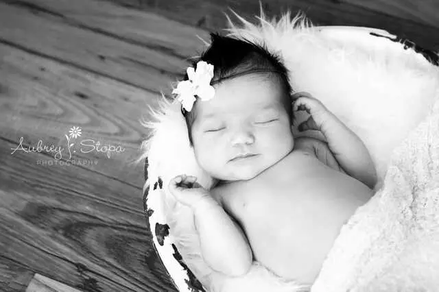 Aubrey Lauren Photography