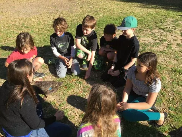Austin Rising School