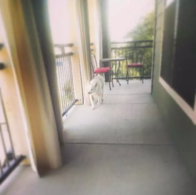 Apartments Express