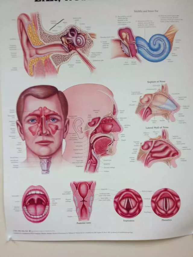 Austin Diagnostic Clinic - Cedar Bend