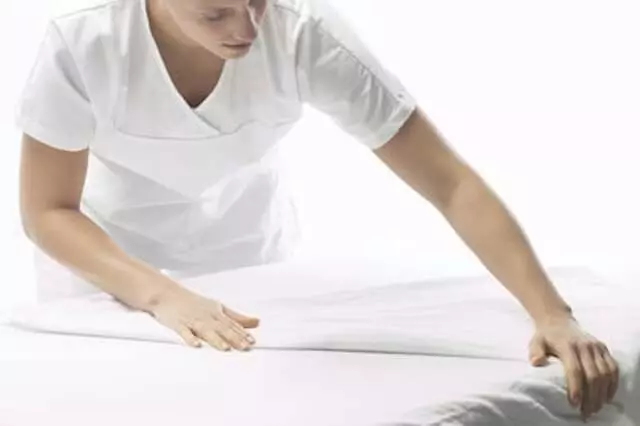 Aroma-Chic Cleaning
