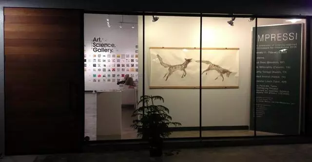 Art.Science.Gallery.