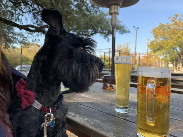 Austin Beer Garden Brewing Company