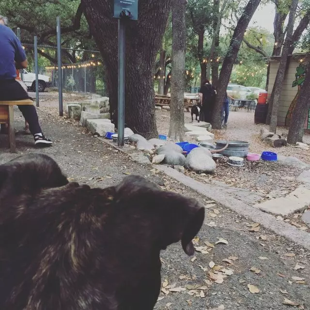 Austin Beer Garden Brewing Company