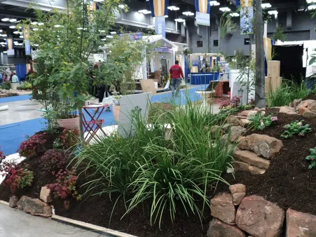Austin Landscape and Design