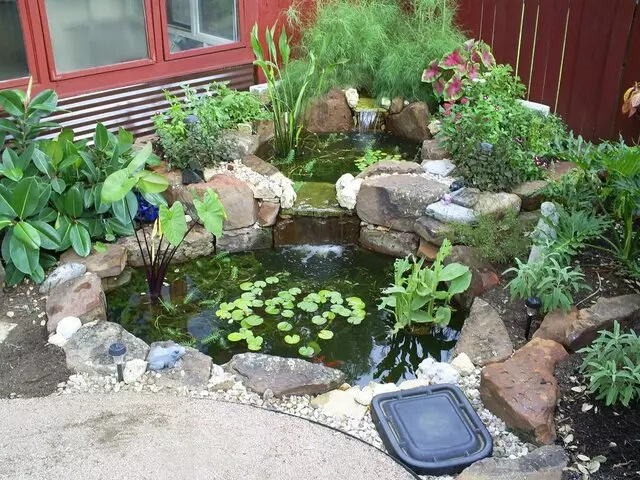 Austin Landscape and Design