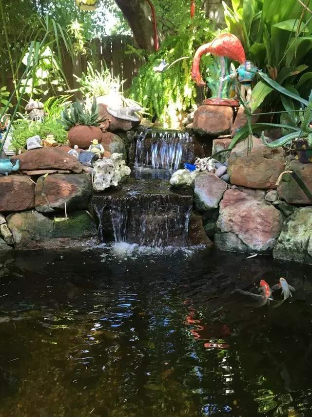 Austin Landscape and Design