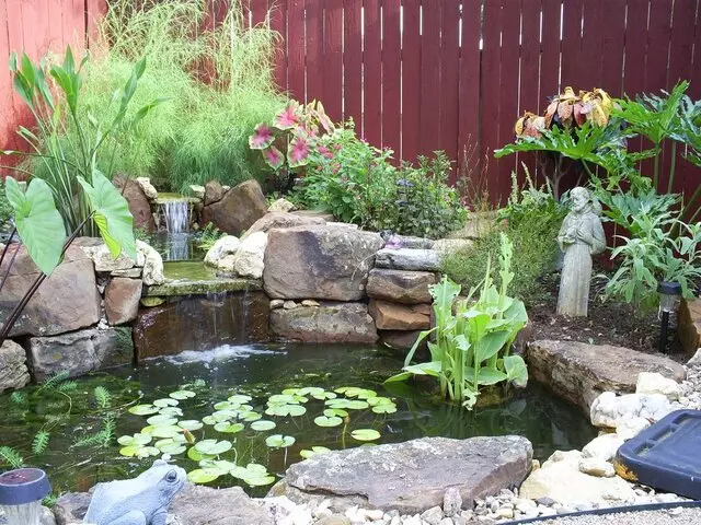 Austin Landscape and Design