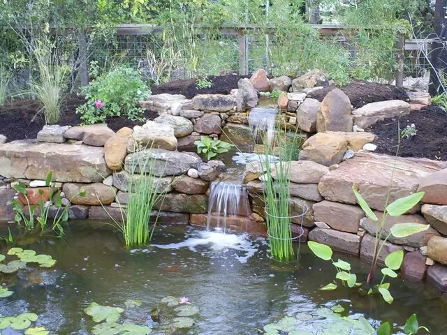 Austin Landscape and Design
