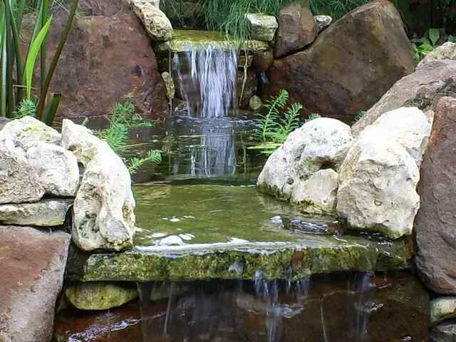 Austin Landscape and Design