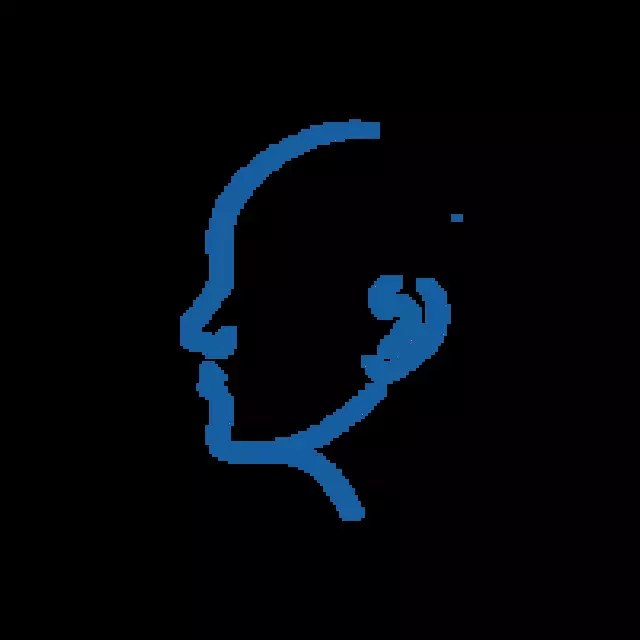 Austin Ear Nose & Throat Associates