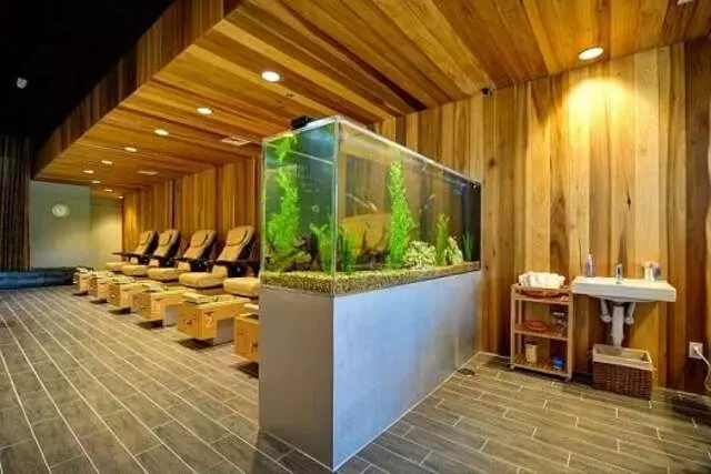Avenue Nails & Spa
