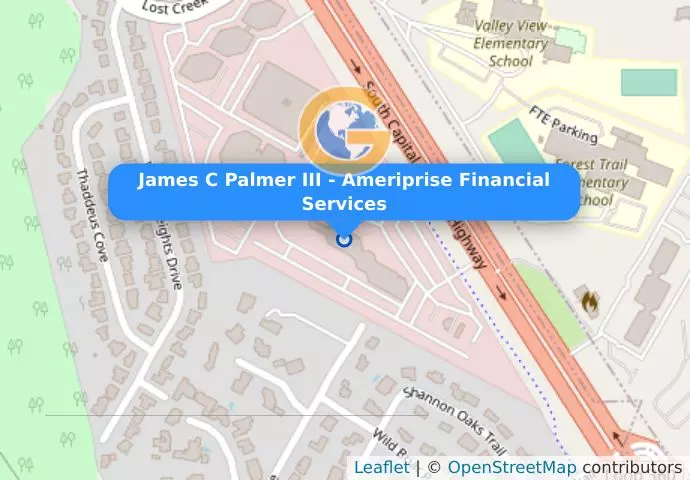 James C Palmer III - Ameriprise Financial Services