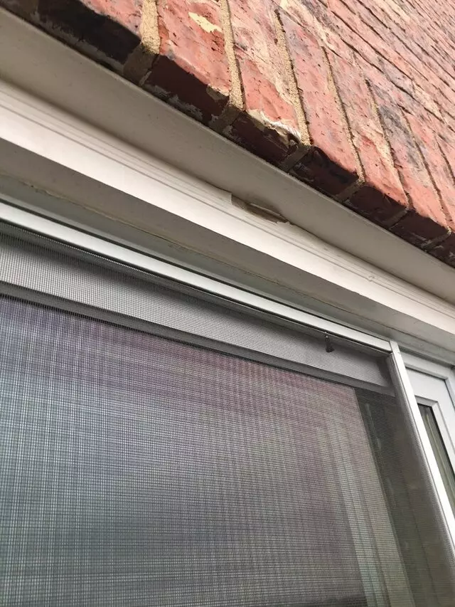 Armadillo Roofing & Exteriors