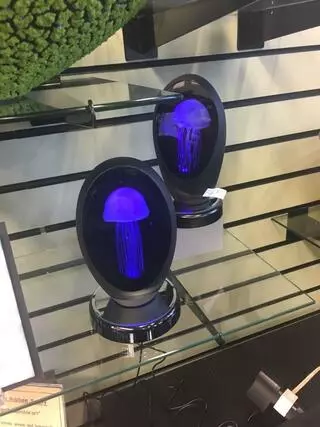 Austin Presence
