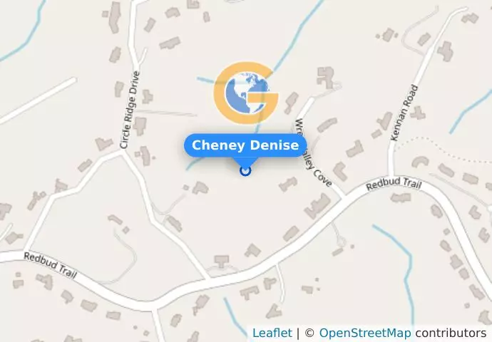 Cheney Denise