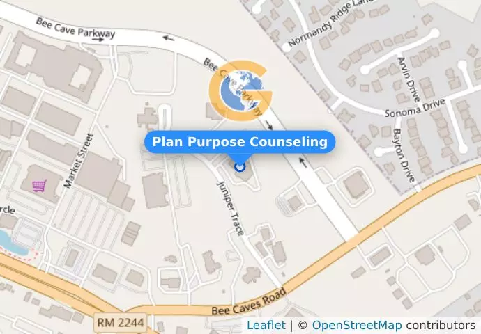 Plan Purpose Counseling