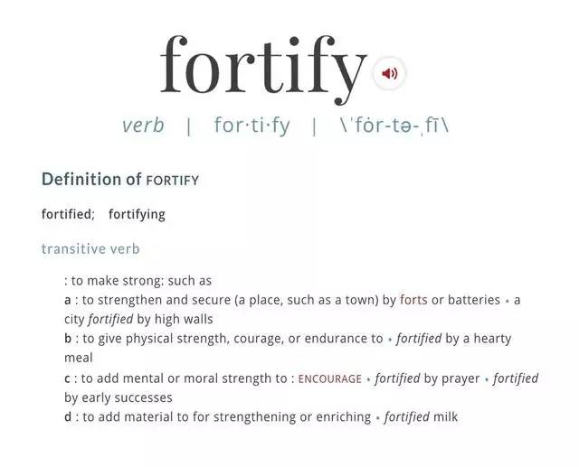 Fortify Counseling Services