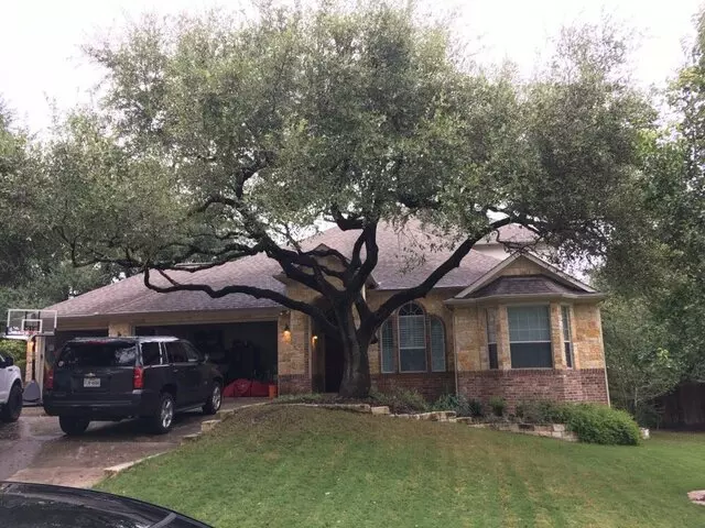 ArborLogics