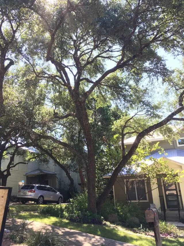 ArborLogics