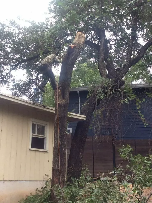 ArborLogics