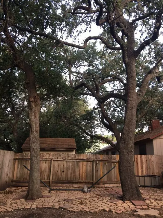 ArborLogics