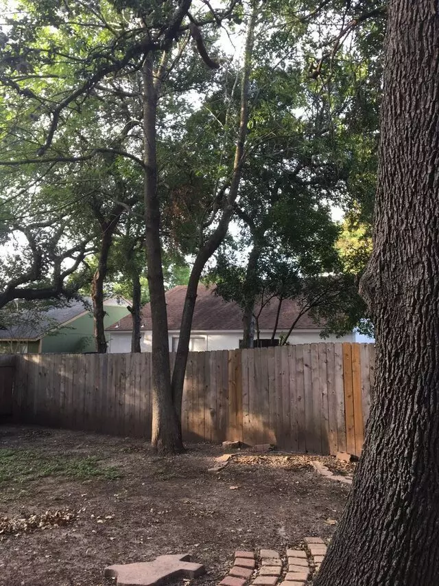 ArborLogics