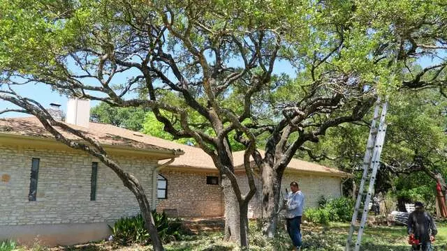 ArborLogics