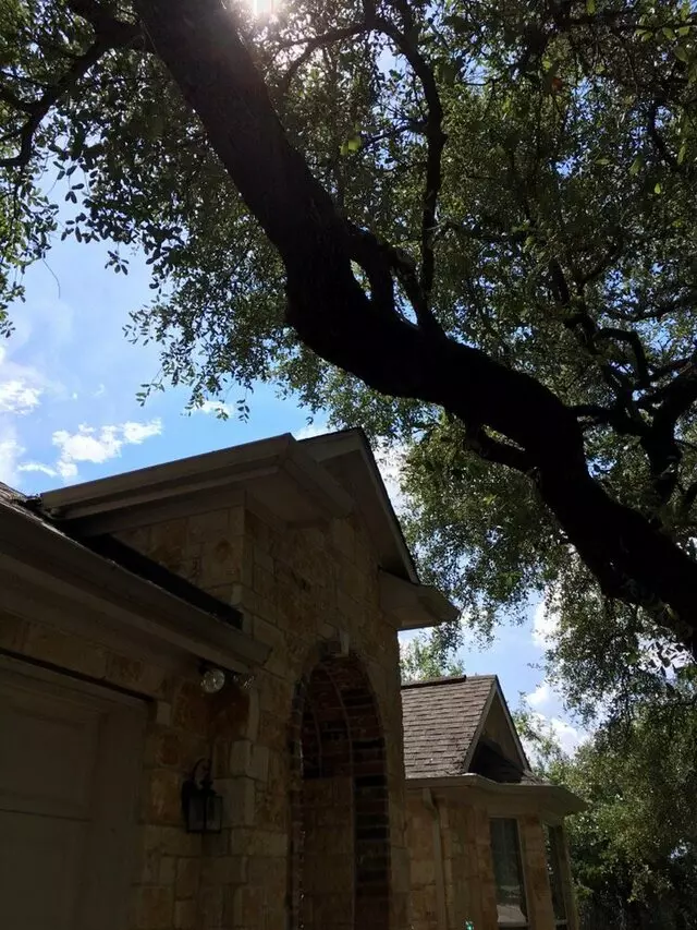 ArborLogics