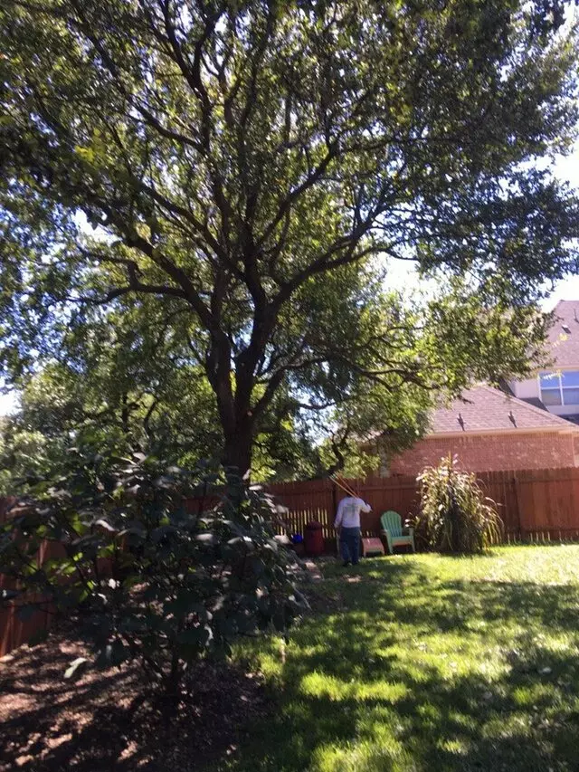ArborLogics