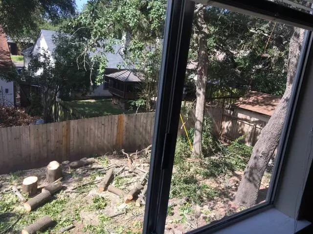 ArborLogics