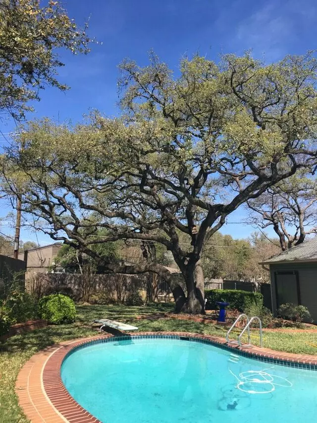 ArborLogics